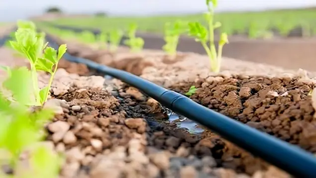 Uzbekistan engages Egyptian technology to enhance energy and water infrastructure