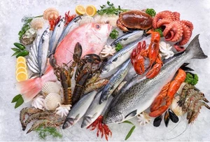 Статистика: Узбекистан наращивает импорт рыбы и морепродуктов 