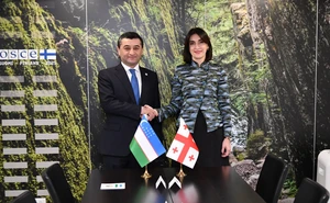 Глава МИД Узбекистана встретился в Вене с министром иностранных дел Грузии