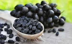 Экспорт: очередная партия узбекской сельхозпродукции поступила в Кувейт