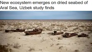 Газета «World News Pakistan»: На высохшем дне Аральского моря сформировалась новая экосистема