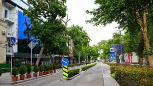 Toshkentda aholiga tun-u kun xizmat ko‘rsatadigan ko‘chalar ko‘paymoqda