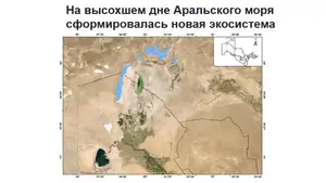 «Вечерний Бишкек»: Пустыня Аралкум за короткий исторический период возникла как своеобразная новая пустынная экосистема