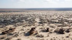 ПРООН провела в Узбекистане проект «Один клик = одно дерево»