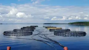 Специализирующаяся на производстве высококачественных кормов для аквакультуры датская компания рассматривает возможность запуска производства в Узбекистане