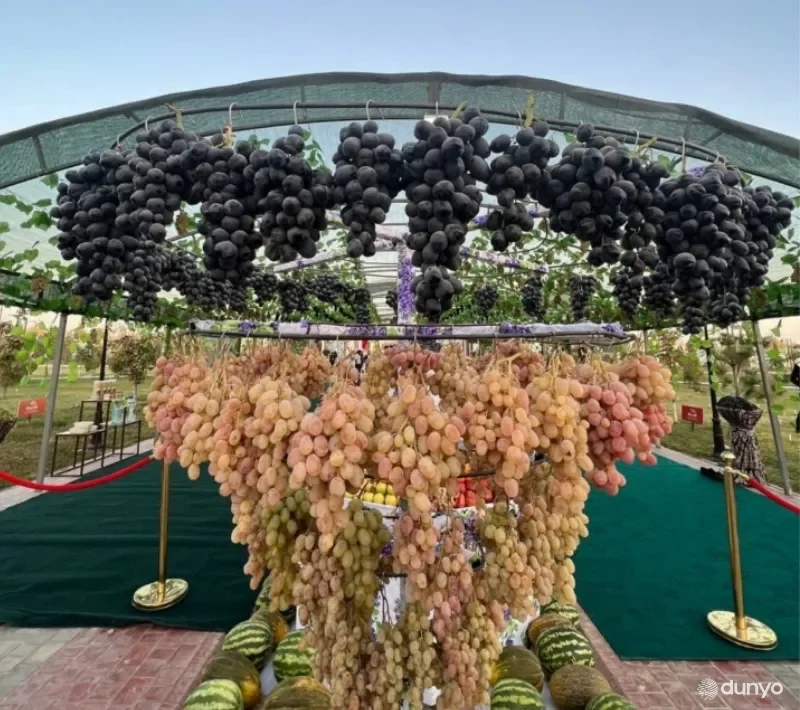 Бельгиянинг қишлоқ хўжалиги экспертлари Ўзбекистонда узум нархининг ўсиш динамикаси январь ойида кузатилган совуқ натижасида ҳосилнинг пастлигини сабаб қилиб кўрсатмоқда