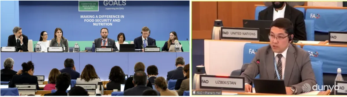 На заседании Комитета по безопасности пищевых продуктов в Риме представлена Стратегия «Узбекистан-2030»