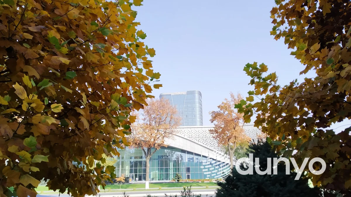 Первый транспортный форум ШОС состоится в Ташкенте