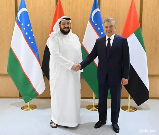 The President of Uzbekistan received a delegation of heads of leading UAE companies