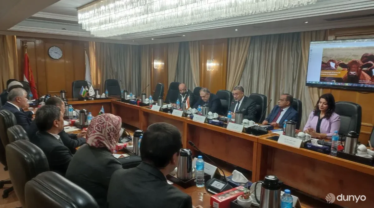 Ўзбекистоннинг Ғаллаорол туманида Миср тажрибаси асосида қанд лавлаги етиштирилади