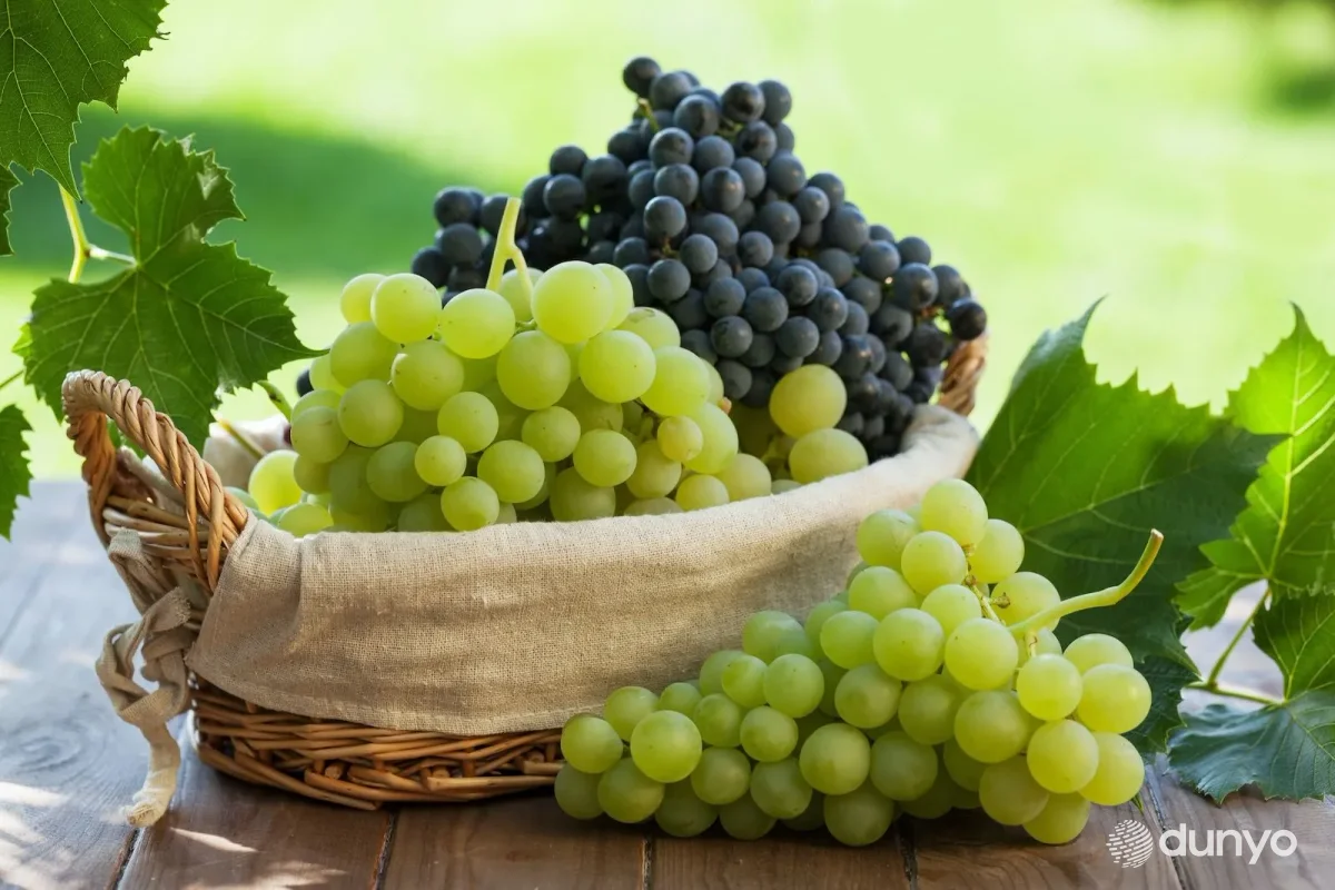 Farg'onada yetishtirilgan 250 tonna uzum havo transporti orqali Nyu-York shahriga yetkaziladi