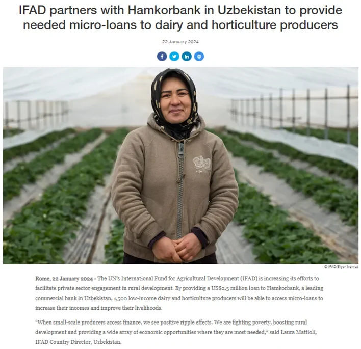 Қишлоқ хўжалигини ривожлантириш халқаро жамғармаси Ўзбекистонда мева ва сут маҳсулотлари ишлаб чиқарувчи хотин-қизларни қўллаб-қувватлайди