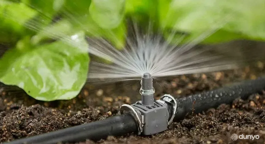 В Узбекистане будут выделяться кредиты на реализацию проектов по внедрению водосберегающих технологий орошения