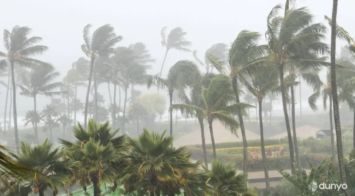 Таиланд ва Мьянма ҳудудларида кузатилган "Яги" тўфони натижасида вафот этган ва жабр кўрганлар орасида Ўзбекистон фуқаролари йўқ