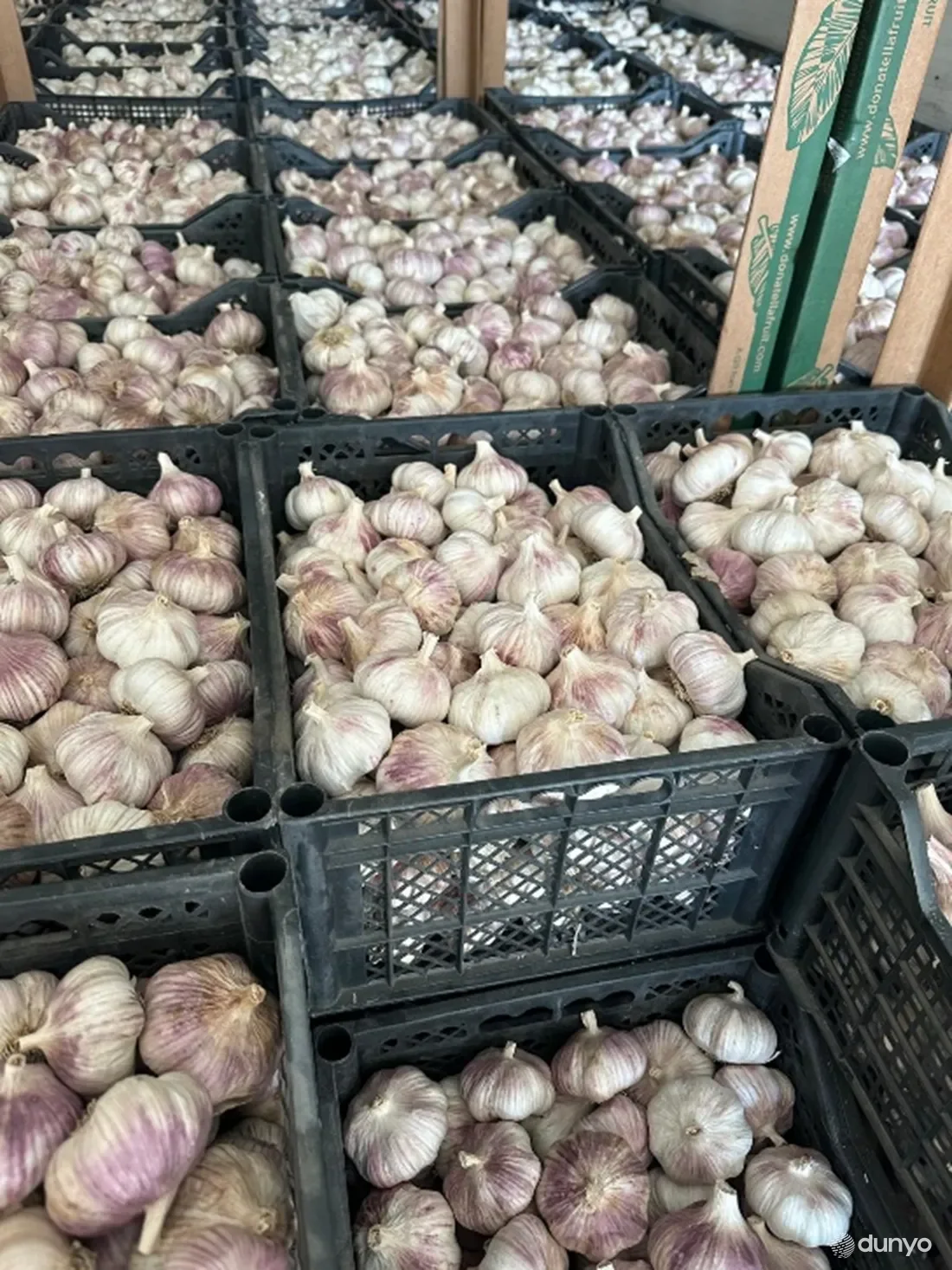 Увеличивается объем экспорта сельхозпродукции из Узбекистана на латвийский рынок