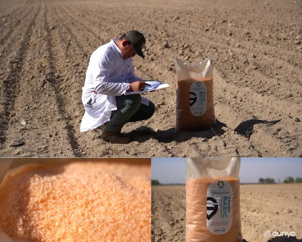 При выращивании шафрана используются ноу-хау технологии водосбережения