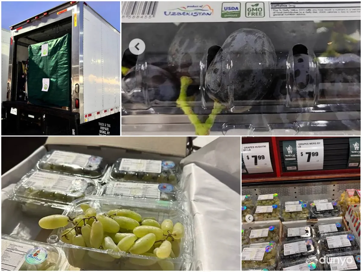 Ўзбекистонда етиштирилган узум АҚШга экспорт қилинди