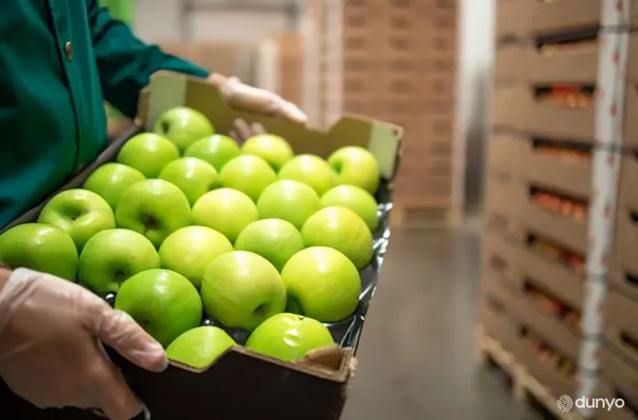 Ўзбекистонда етиштирилган мева ва сабзавот маҳсулотлари Швецияга тўғридан-тўғри экспорт қилинади