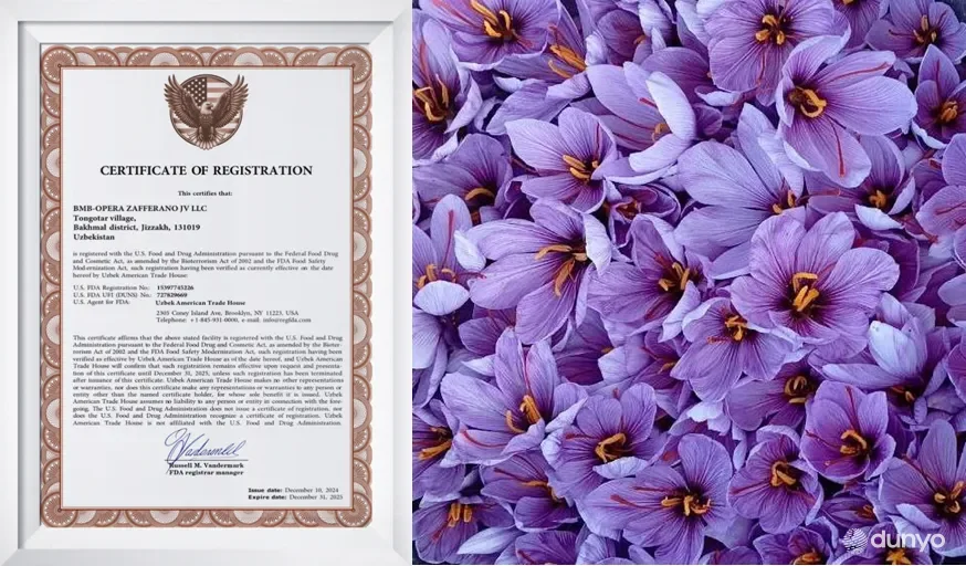 В США продлён срок разрешения на экспорт из Узбекистана шафрана