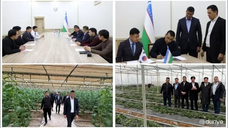 Представители ведущих южнокорейских компаний посетили с деловым визитом Кашкадарьинскую область