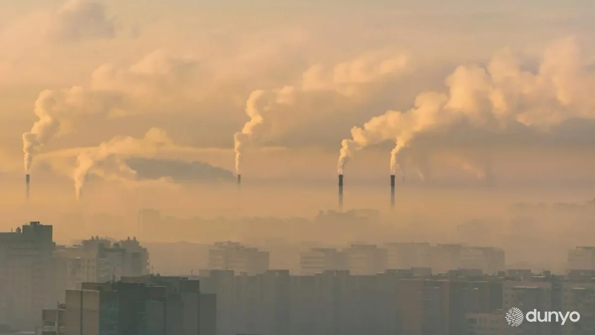 Только семь стран мира соответствовали нормам ВОЗ по загрязнению воздуха в прошлом году