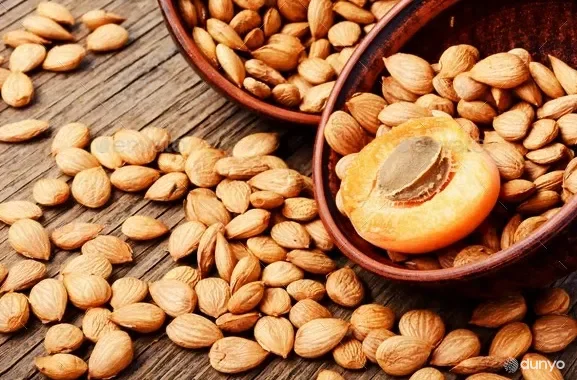 Ўзбекистондан Буюк Британияга ўрик данаги мағзи экспорти йўлга қўйилди