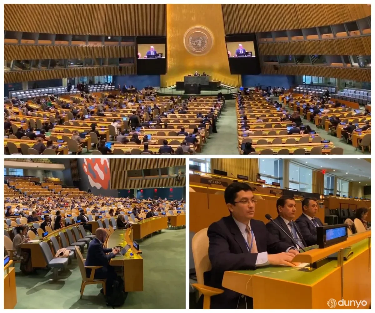 По инициативе Узбекистана Генеральная Ассамблея провозгласила Десятилетие ООН облесения и лесовосстановления