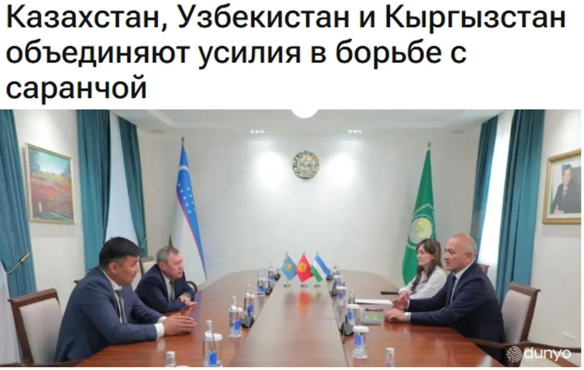 Ўзбекистон, Қозоғистон ва Қирғизистон чигирткаларга қарши биргаликда курашмоқда