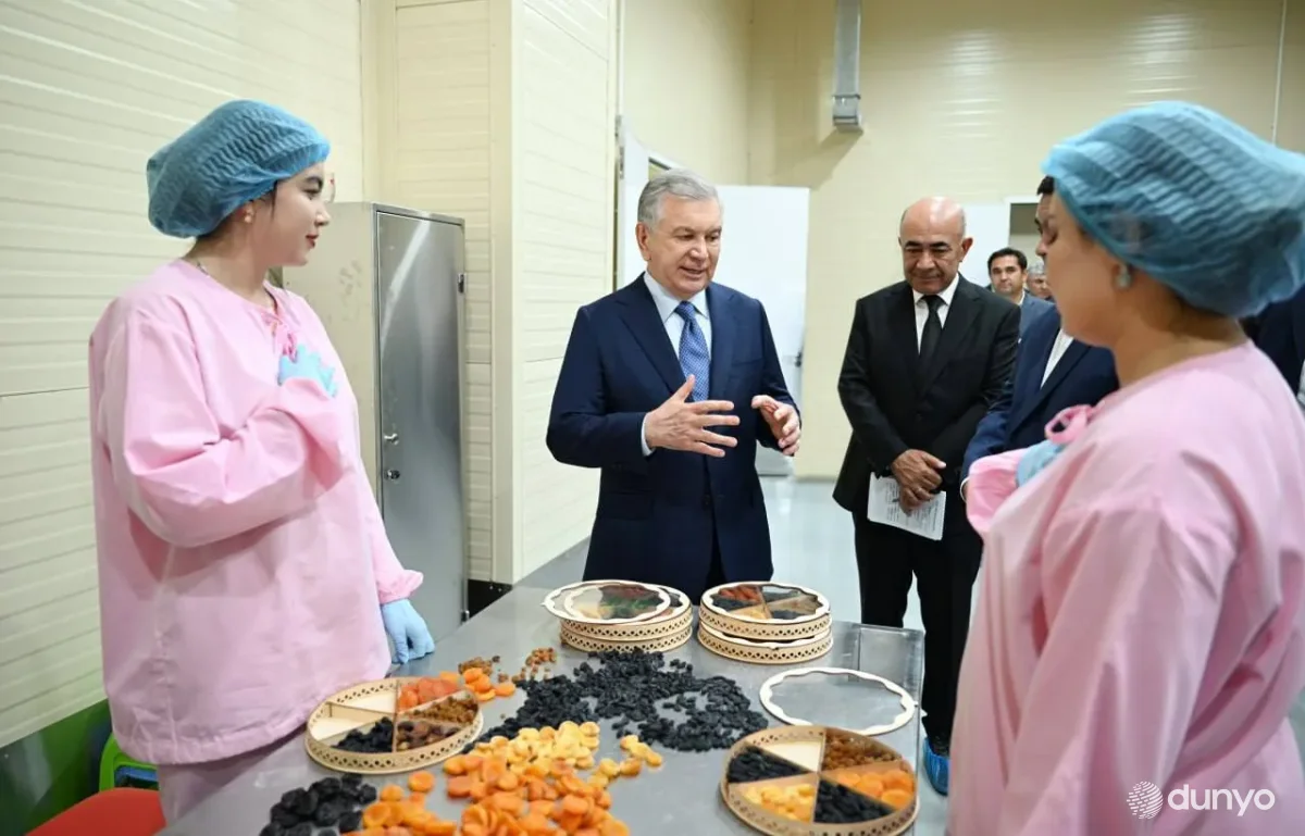 O'zbekiston Prezidenti: Meva-sabzavotchilikda Parkentning imkoniyatlari katta