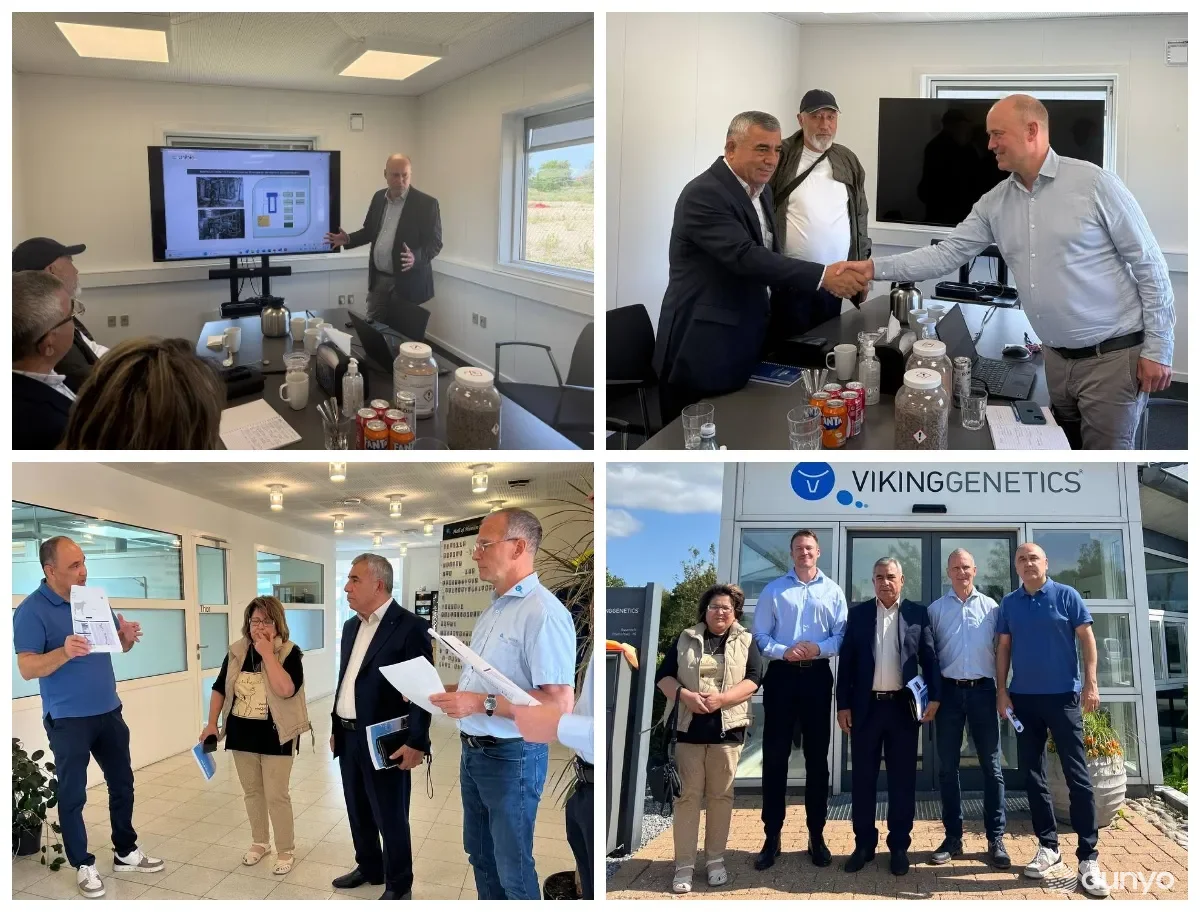 В Копенгагене обсуждены перспективы узбекско-датского сотрудничества в сфере ветеринарии и животноводства