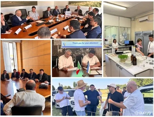 O'zbekistonda qishloq xo'jaligi ekinlari urug'chiligi sohasida Italiyaning ilg'or tajribasi tadbiq etiladi