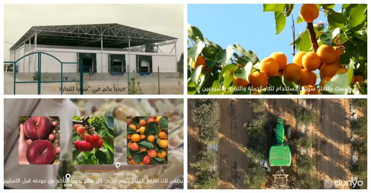 В ОАЭ создана электронная торговая платформа для увеличения импорта узбекской сельхозпродукции