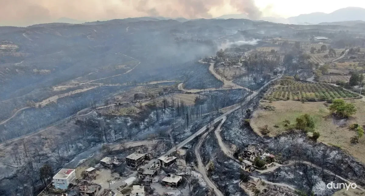 Туркияда эркак эски матрасни ёқиб юбораман деб ўрмонга ўт қўйди