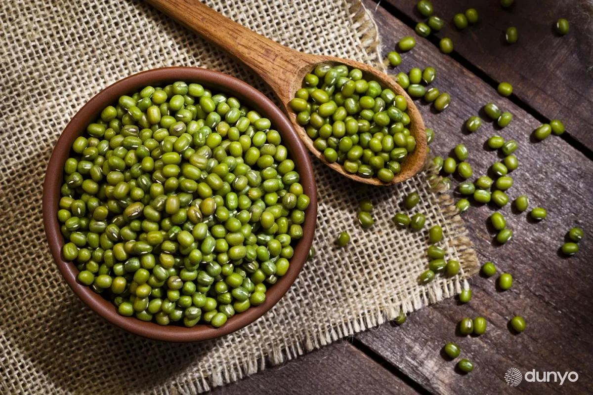 Экспорт узбекского маша в Великобританию становится новым направлением сотрудничества