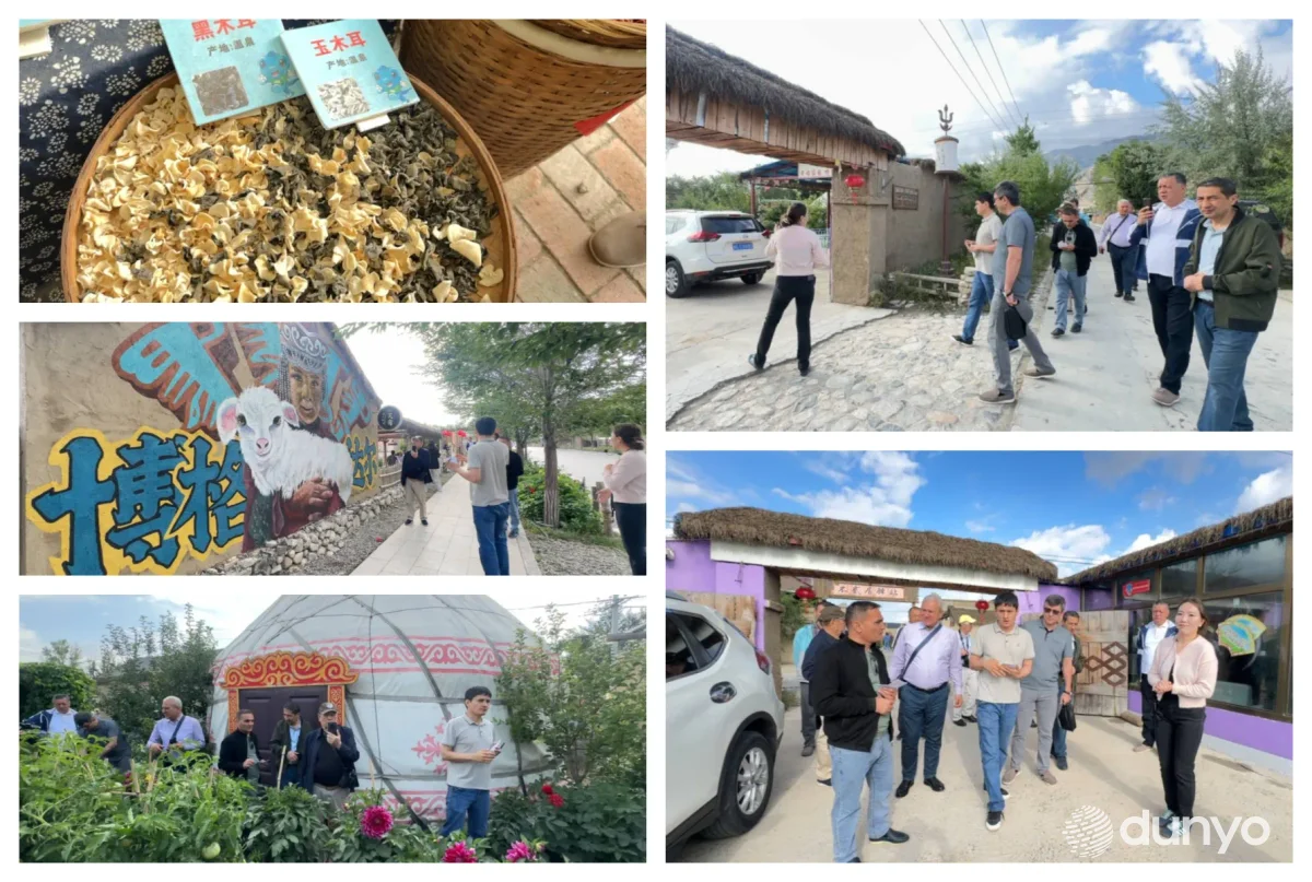 "Bog'dor" turizm qishlog'ida ko'chmanchilar hayoti va milliy taomlari taqdim etilmoqda