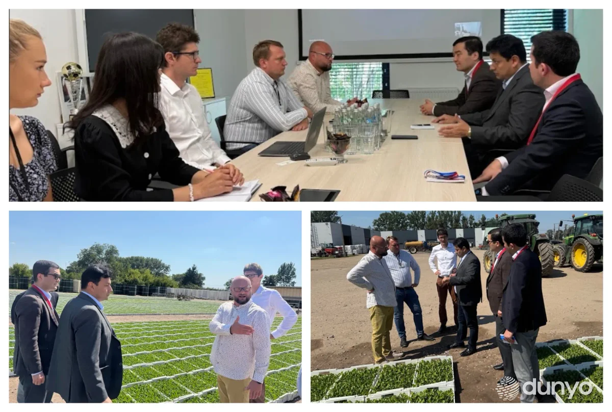 Польский холдинг будет содействовать экспорту выращенных в Узбекистане фруктов и овощей в страны Европы