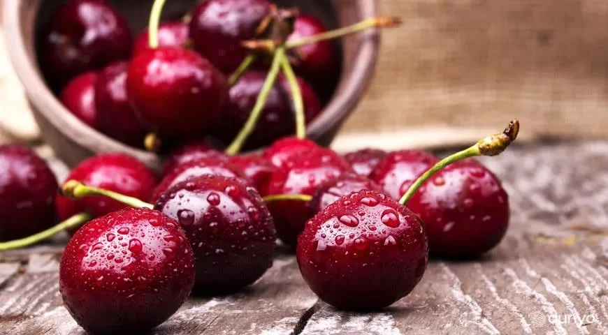 Ўзбекистон жорий йилнинг етти ойи давомида 50 миллион доллардан зиёд гилос экспорт қилди