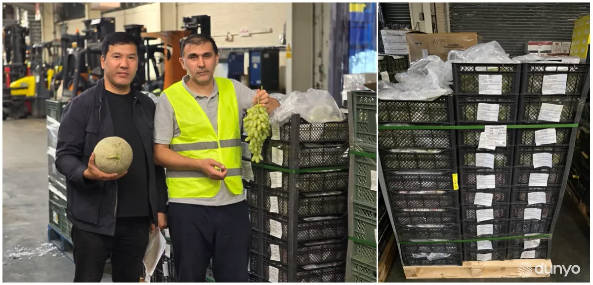 Экспорт узбекской сельскохозяйственной продукции в Великобританию продолжает расширяться