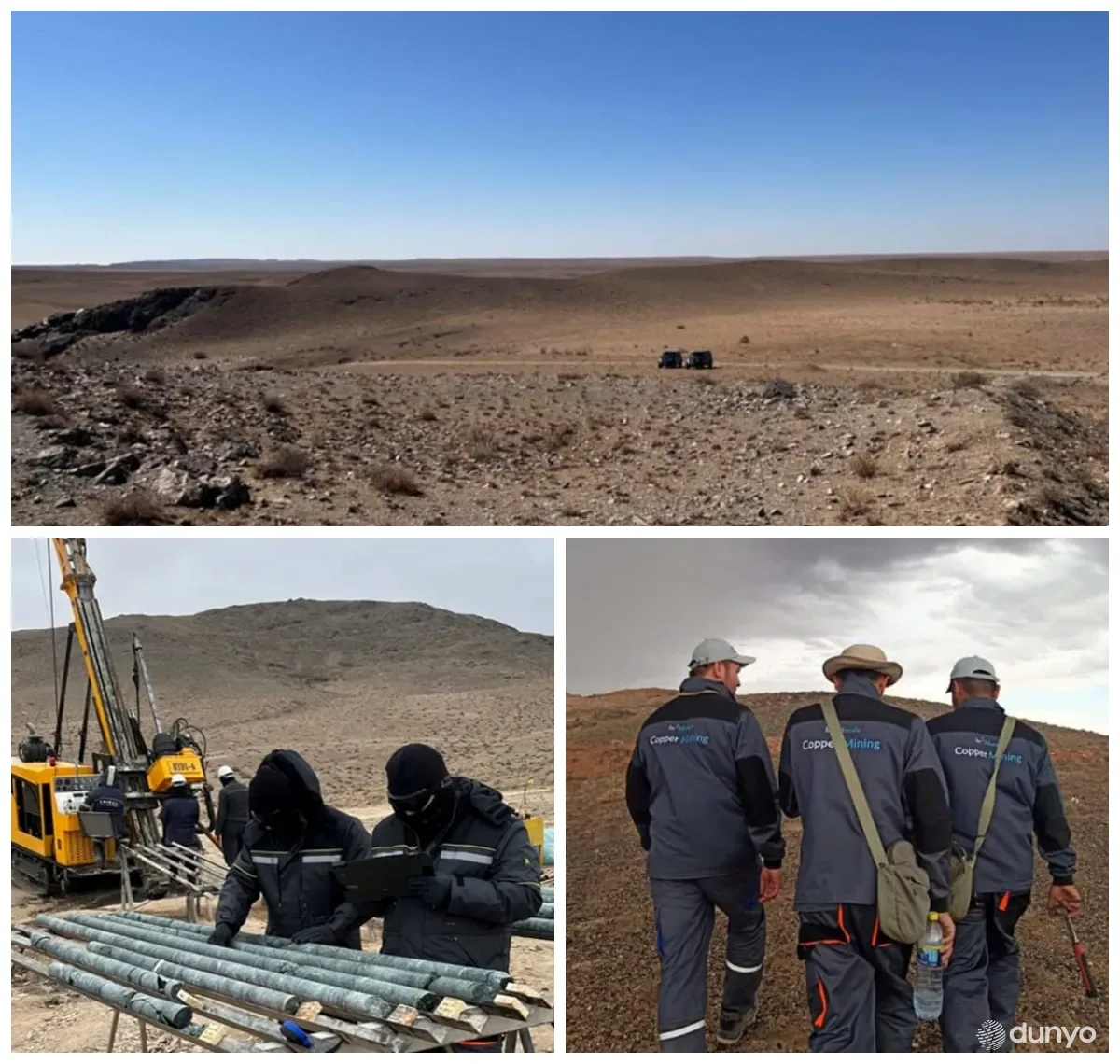 Египетская компания создала стажировки для узбекских студентов и рабочие места для молодых геологов