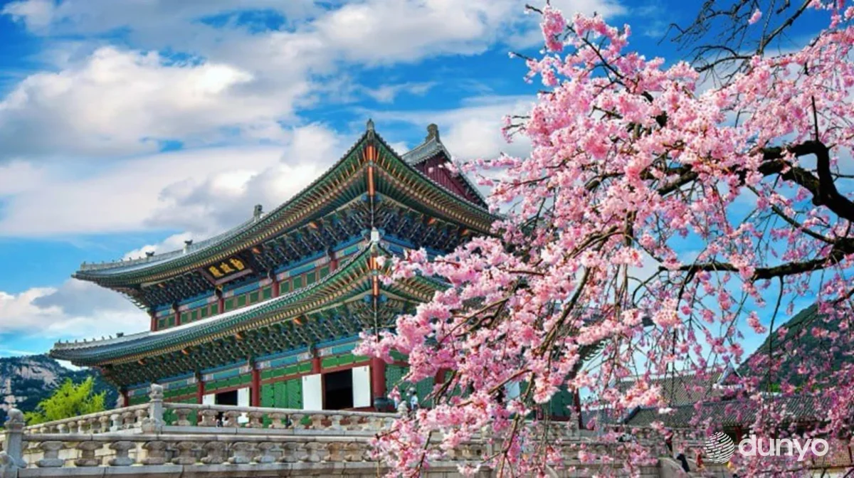 За 7 месяцев около 1800 узбекистанцев отправились для учебы в Южную Корею