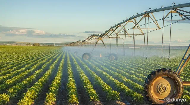 MAGATE va O'zbekiston tuproq sho'rlanishiga qarshi kurashish bo'yicha qo'shma loyihani ishga tushirmoqda