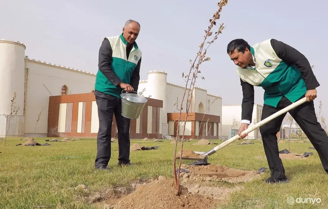 В комплексе «Вечный город» высажено около 600 саженцев деревьев