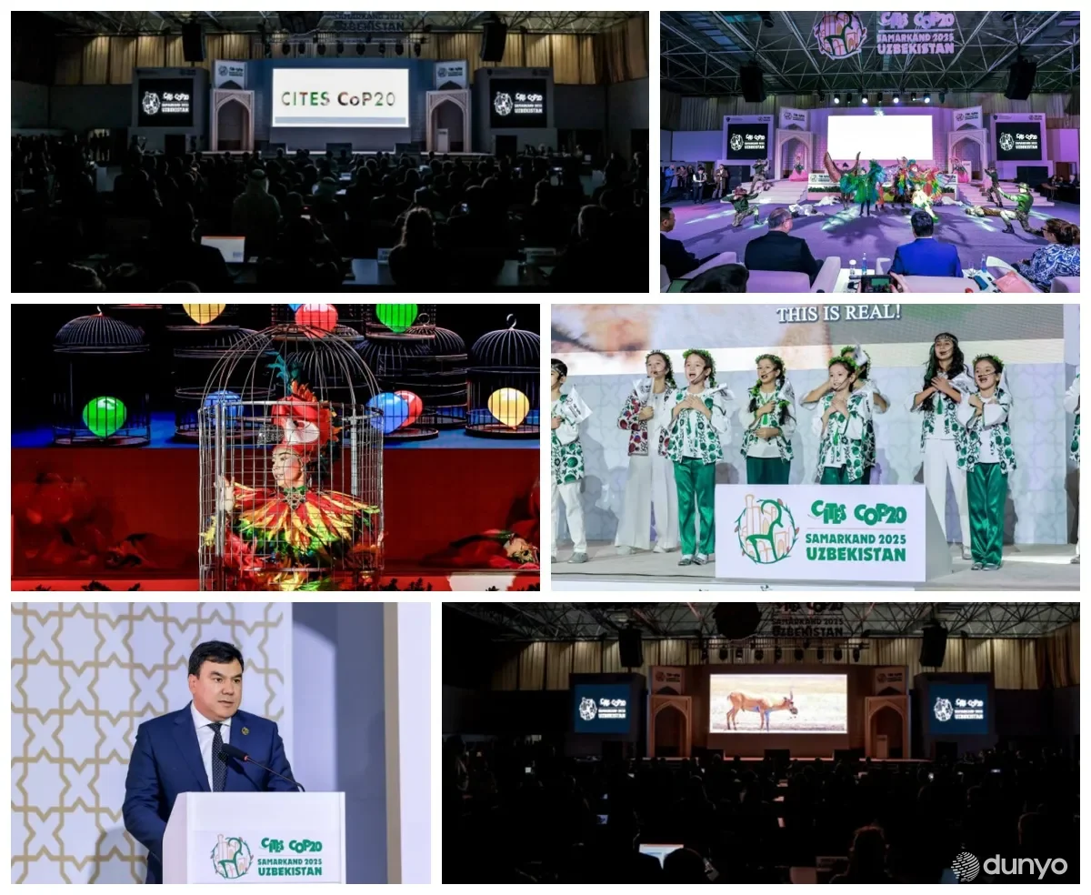 Samarkand hosts CITES CoP20: Central Asian nations strengthen cooperation to protect wildlife