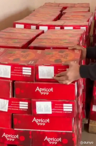 Налажен экспорт сухофруктов из Узбекистана на рынок Дании