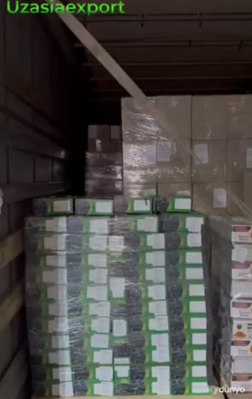 Налажен экспорт сухофруктов из Узбекистана на рынок Дании