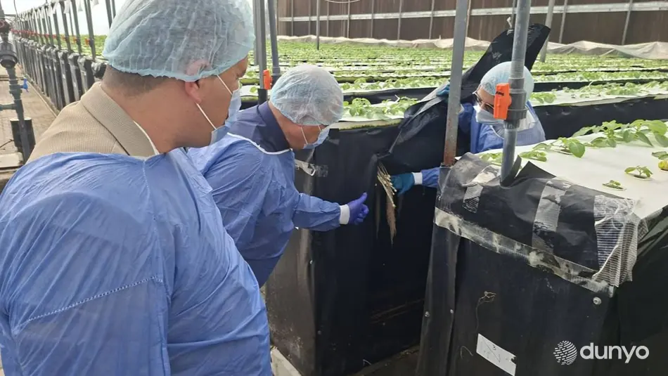 Делегация Бухарского государственного университета посетила Египет