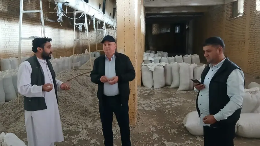 Сурхондарё ва Афғонистоннинг Балх вилояти саноат, қишлоқ хўжалиги ва соғлиқни сақлаш соҳаларида ишбилармонлик алоқаларини кенгайтирмоқда