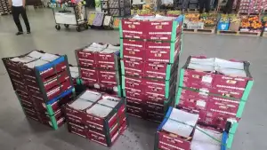 O‘zbekiston tanaffusdan so‘ng Quvaytga qishloq xo‘jaligi mahsulotlari eksportini qayta tikladi
