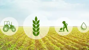 29–31-oktabr kunlari Toshkentda Ispaniya va O‘zbekiston kompaniyalari ishtirokida agrotexnologiyalar bo‘yicha forum bo‘lib o‘tadi