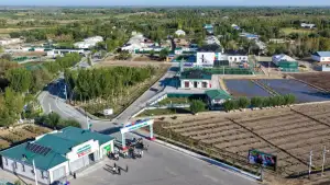 Президент Узбекистана ознакомился в Нукусском районе с работой по улучшению инфраструктуры махаллей и повышению доходов населения